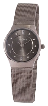 Wrist watch Skagen 233XSTTM for women - 1 image, photo, picture