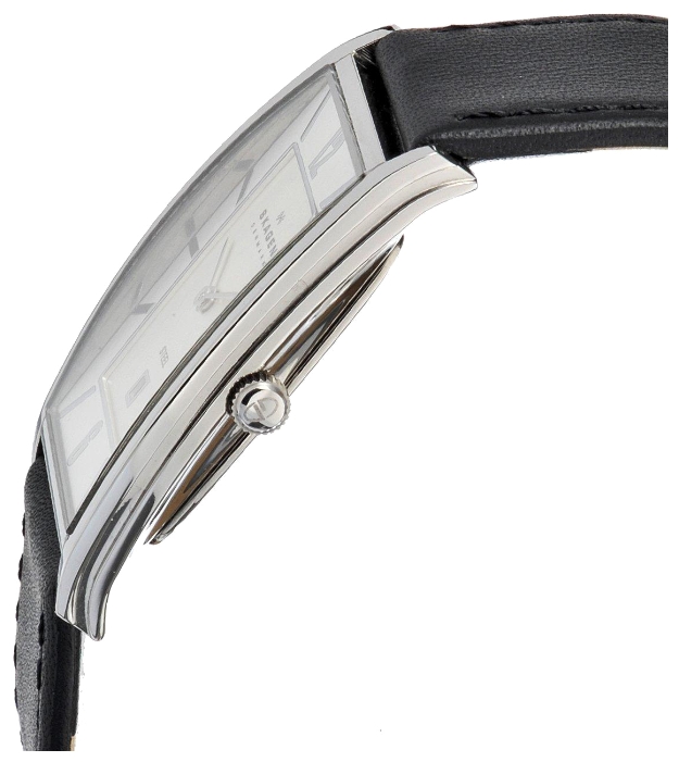 Wrist watch Skagen 294LSLB2 for unisex - 2 image, photo, picture