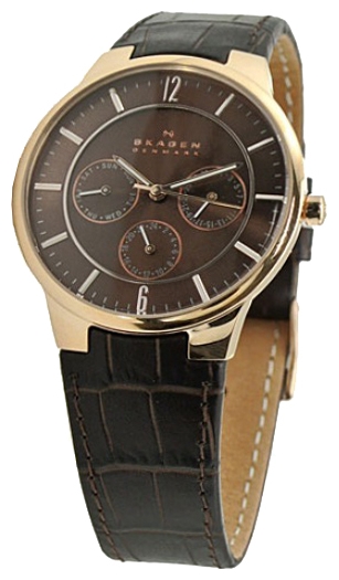 Wrist watch Skagen 331XLRLDO for men - 1 photo, picture, image