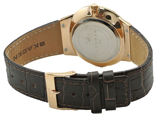 Wrist watch Skagen 331XLRLDO for men - 2 photo, picture, image