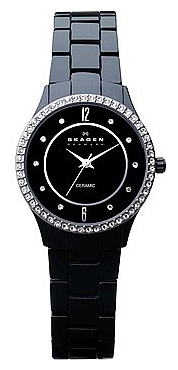 Wrist watch Skagen 347SBXBC for women - 1 photo, picture, image