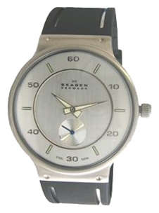 Wrist watch Skagen 350LSRSC for men - 1 picture, photo, image