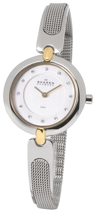 Skagen watch for women - picture, image, photo