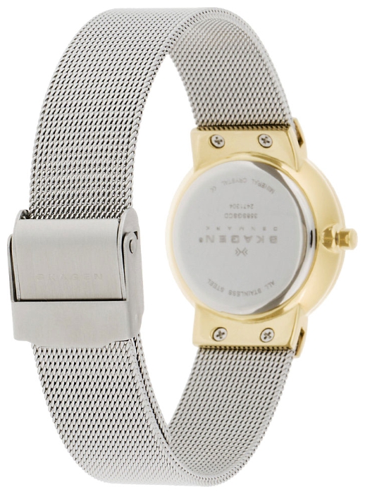 Wrist watch Skagen 358SSCD for women - 2 picture, image, photo
