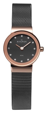 Wrist watch Skagen 358XSRM for women - 1 photo, image, picture
