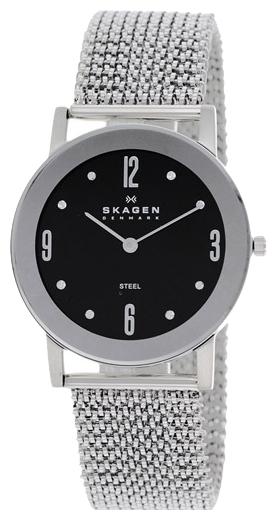 Wrist watch Skagen 39LSSB2 for women - 2 photo, picture, image