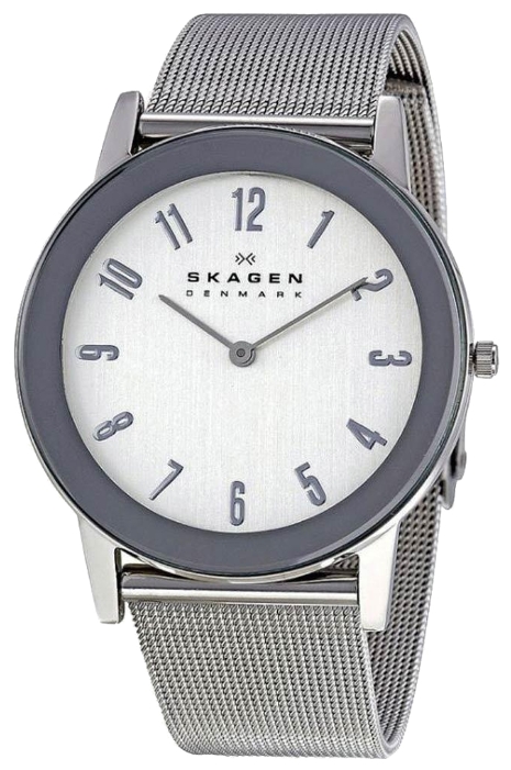 Skagen 39LSSS wrist watches for men - 1 image, picture, photo