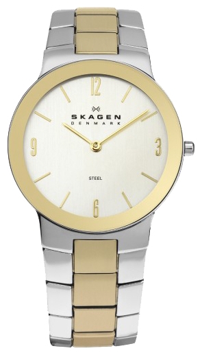 Wrist watch Skagen 430MSGXG for men - 1 photo, picture, image