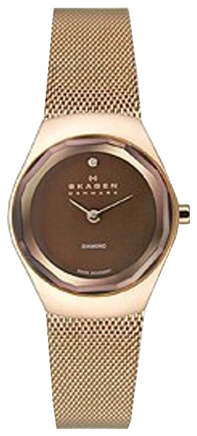 Wrist watch Skagen 432SRRD for women - 1 image, photo, picture