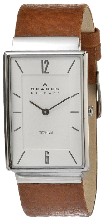 Wrist watch Skagen 434LTLDW for men - 1 photo, picture, image