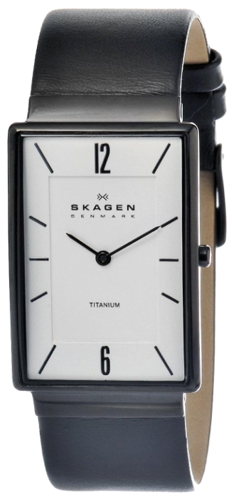 Wrist watch Skagen 434LTLW for men - 1 photo, image, picture