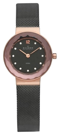 Wrist watch Skagen 456SRM for women - 1 photo, image, picture
