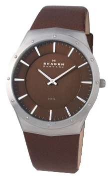 Wrist watch Skagen 509XXLSLD for women - 1 photo, image, picture