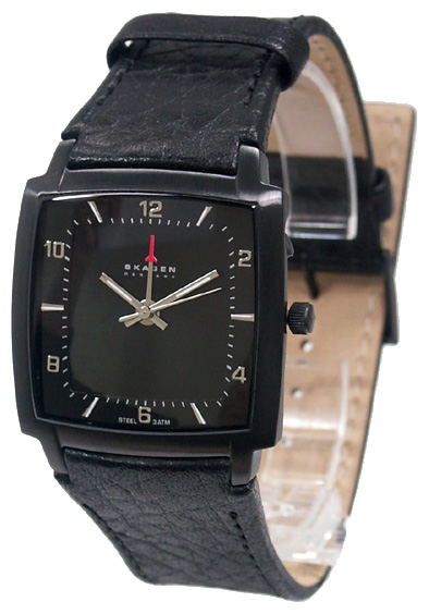 Skagen 521LBLB1 wrist watches for men - 1 image, picture, photo