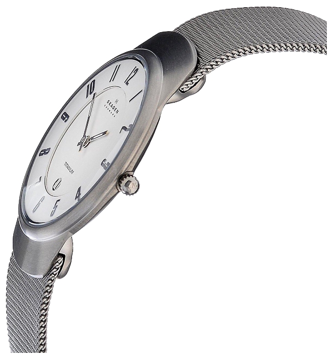 Skagen 533LTTW wrist watches for men - 2 image, picture, photo