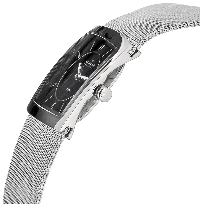 Wrist watch Skagen 563XSSSB for women - 2 photo, picture, image