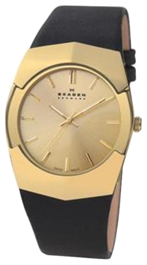 Wrist watch Skagen 580XLGLB for men - 1 picture, photo, image