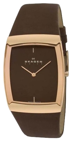 Skagen 584LRLM wrist watches for men - 1 image, picture, photo