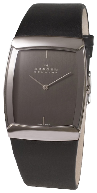 Skagen 584LSLM wrist watches for men - 1 image, picture, photo