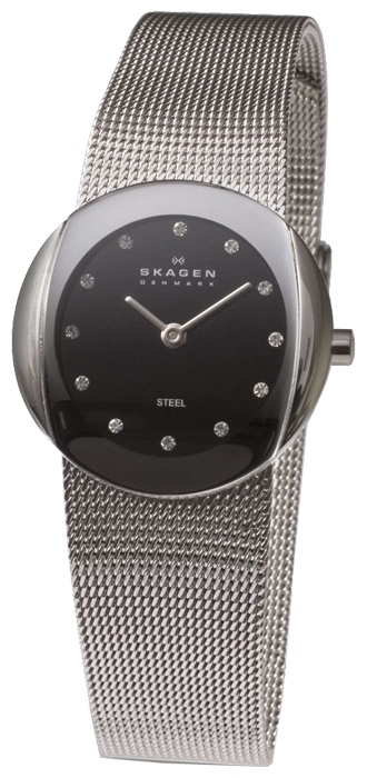 Wrist watch Skagen 589SSSB for women - 1 photo, picture, image