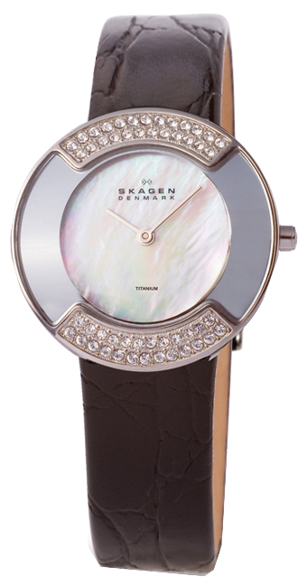 Skagen watch for women - picture, image, photo