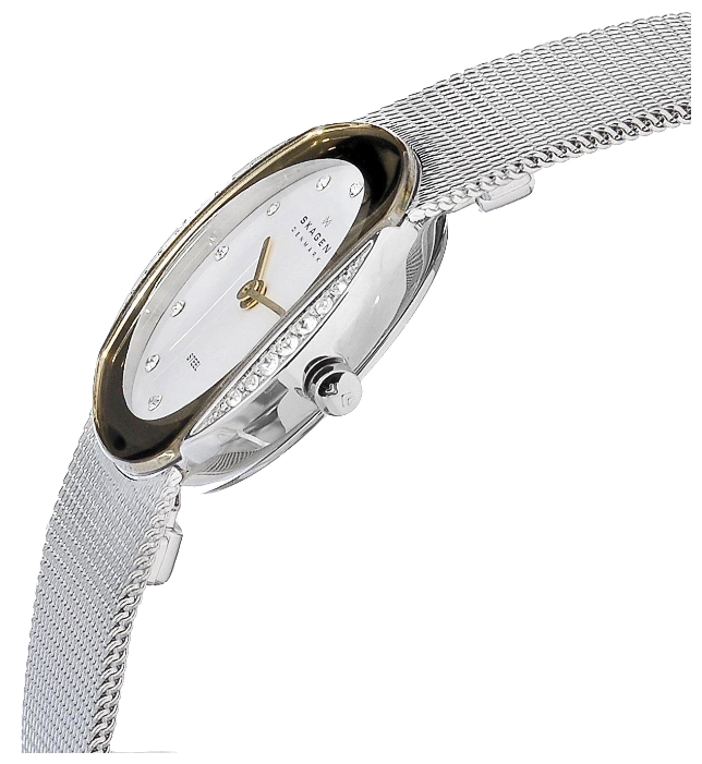 Wrist watch Skagen 689SGSW for women - 2 photo, image, picture