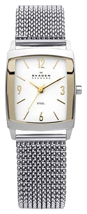 Wrist watch Skagen 691SGS1 for women - 1 photo, image, picture