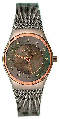 Skagen watch for women - picture, image, photo