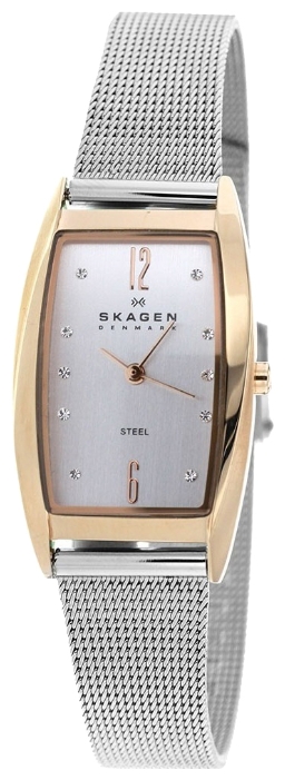 Skagen watch for women - picture, image, photo