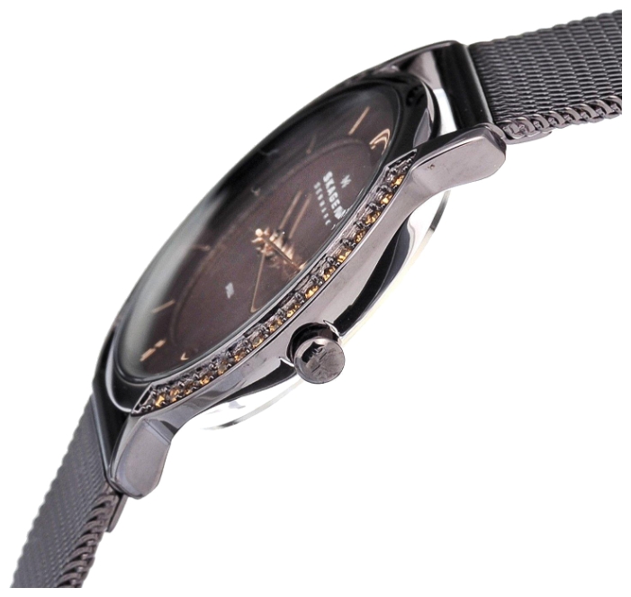 Wrist watch Skagen 804SDD for women - 2 photo, image, picture