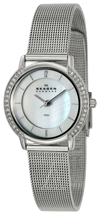 Wrist watch Skagen 804SSS for women - 1 photo, image, picture