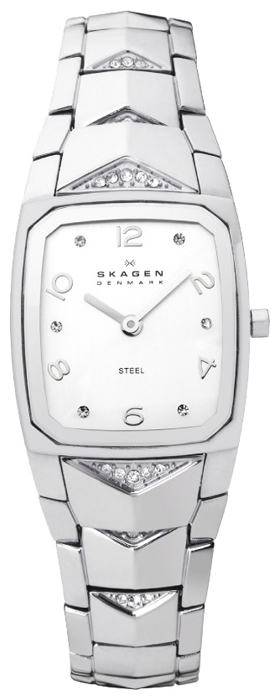 Wrist watch Skagen 811SSX for women - 1 photo, image, picture