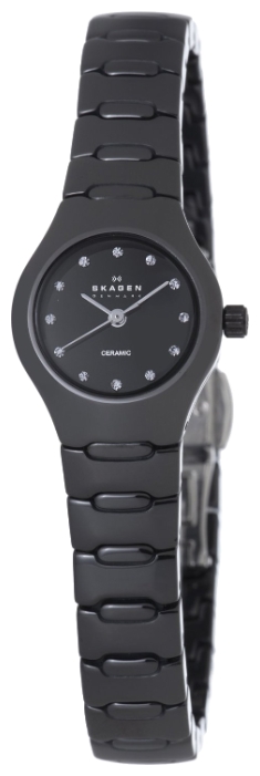 Wrist watch Skagen 816XSBXC1 for women - 2 photo, image, picture