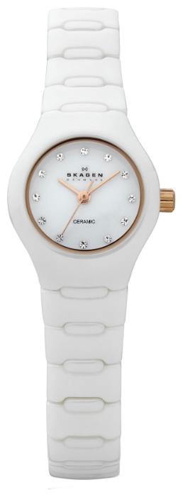Wrist watch Skagen 816XSWXRC1 for women - 1 image, photo, picture