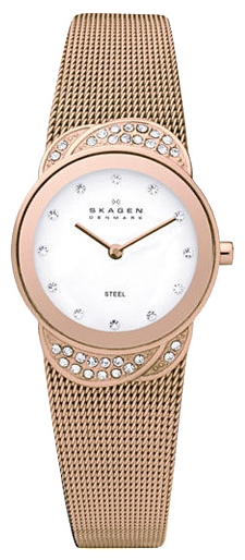 Wrist watch Skagen 818SRR for women - 1 photo, image, picture