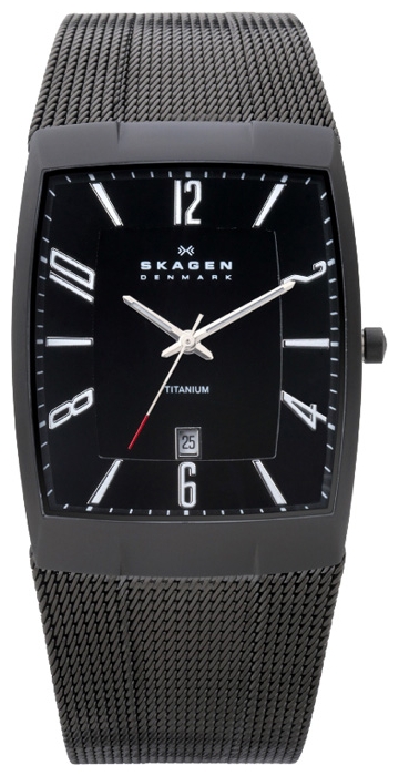 Wrist watch Skagen 851LTBB for men - 1 image, photo, picture