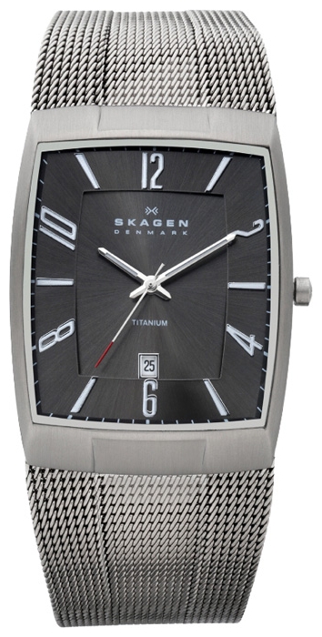 Skagen 851LTTM wrist watches for men - 1 image, picture, photo
