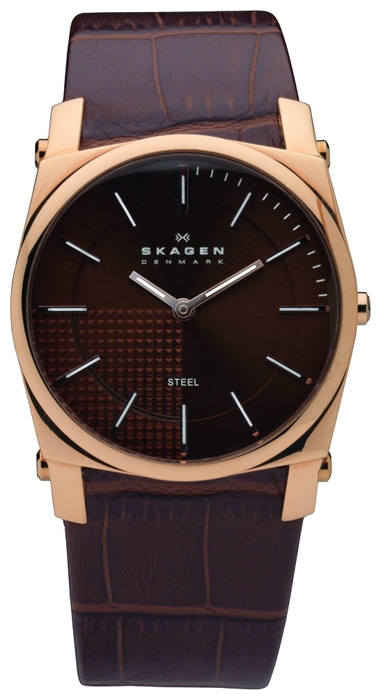 Skagen 859LRLD wrist watches for men - 1 image, picture, photo