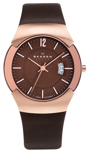 Wrist watch Skagen 981XLRLD for men - 1 image, photo, picture