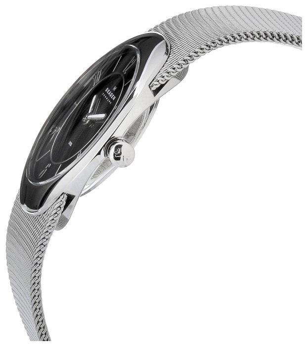 Wrist watch Skagen O564XSSSB for women - 2 photo, image, picture