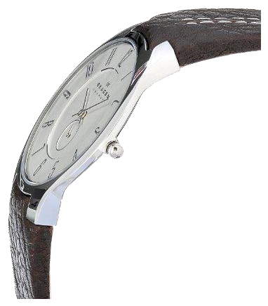 Wrist watch Skagen OT433XLSL1 for men - 2 photo, picture, image