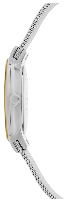 Wrist watch Skagen SKW1053 for women - 2 photo, picture, image