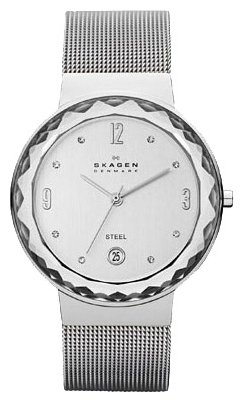 Wrist watch Skagen SKW2004 for women - 1 photo, image, picture