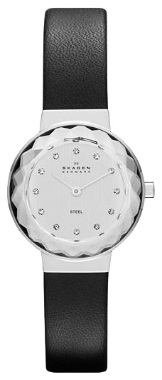 Wrist watch Skagen SKW2005 for women - 1 photo, picture, image