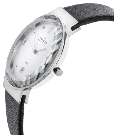 Wrist watch Skagen SKW2043 for women - 2 photo, image, picture