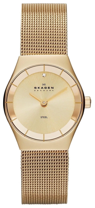 Wrist watch Skagen SKW2045 for women - 1 photo, picture, image