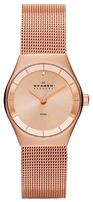 Wrist watch Skagen SKW2046 for women - 1 image, photo, picture