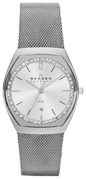 Wrist watch Skagen SKW2049 for women - 1 photo, picture, image