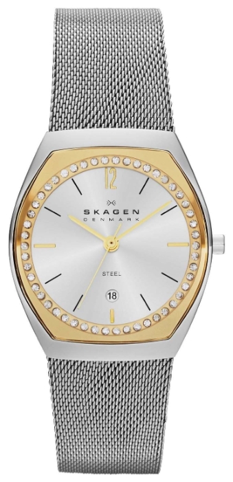 Wrist watch Skagen SKW2050 for women - 1 photo, image, picture