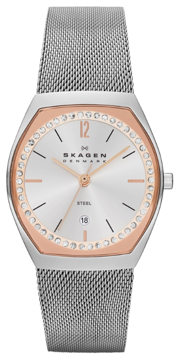 Wrist watch Skagen SKW2051 for women - 1 photo, picture, image